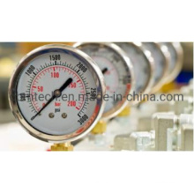 Best Quality Ordinary Stainless Steel Pressure Gauge with Cheap Price